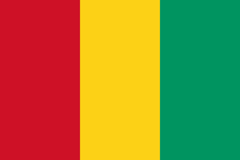 Lire la suite à propos de l’article Roi Import Export Distribution Guinée