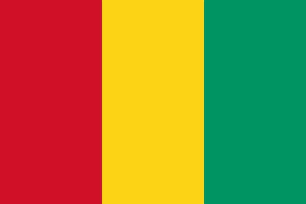 You are currently viewing Roi Import Export Distribution Guinée