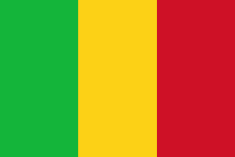 Lire la suite à propos de l’article Roi Import Export Distribution Mali